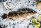 Рыба Групер пятнистый 1-2 кг