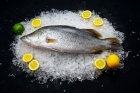 Рыба Баррамунди 1-2 кг